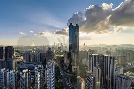 熊猫体育平台-2025深圳杯全部赛程表